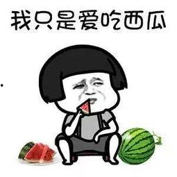 吃瓜系统搞笑沙雕小说娱乐圈